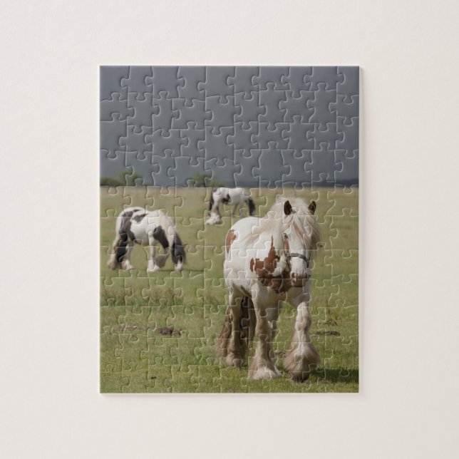 Puzzle Caballos de Clydesdale en un campo, Northumberland (Vertical)