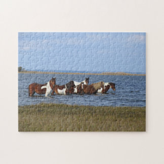 Puzzle Caballos de la Isla de Assateague en alta mar