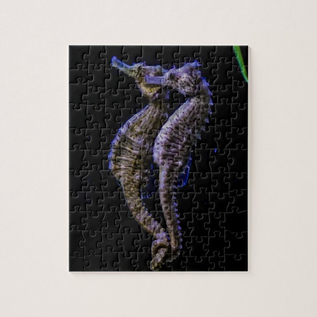 Puzzle Caballos de mar (Seahorses) (Vertical)