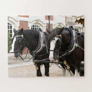 Puzzle Caballos de tiro
