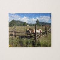 Caballos En La Fotografía De La Valla De Tren De S