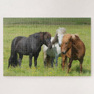 Puzzle Caballos en la granja, sur de Islandia