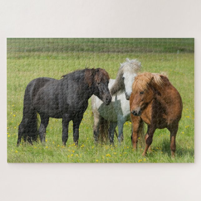 Puzzle Caballos en la granja, sur de Islandia (Horizontal)