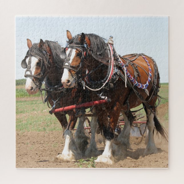 Puzzle Caballos en proceso (Vertical)