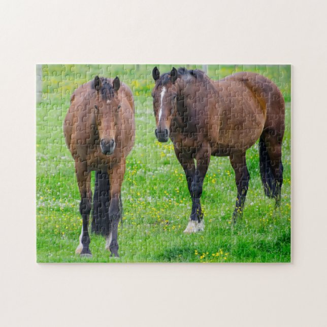 Puzzle Caballos en un campo (Horizontal)