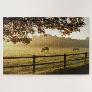 Puzzle Caballos en un campo en una mañana soleada