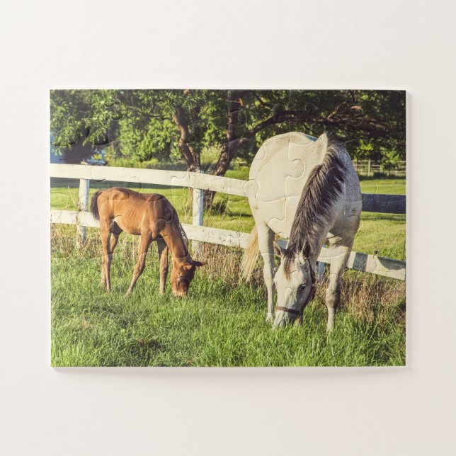 Puzzle Caballos Gray Mare & Foal sobredimensionados (Horizontal)
