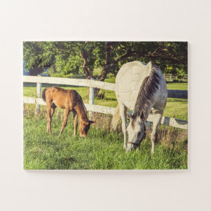 Puzzle Caballos Gris Mare & Foal sobredimensionados