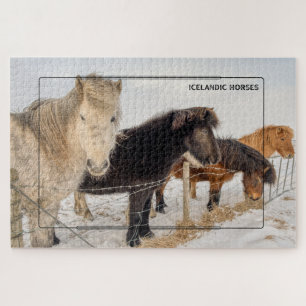Puzzle Caballos islandeses majestuosos