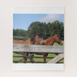 Puzzle Caballos Majestuosos En La Naturaleza