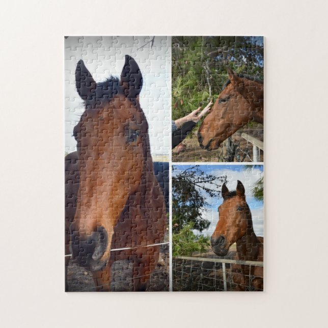 Puzzle Caballos Marrones En Un Collage de fotos, (Vertical)