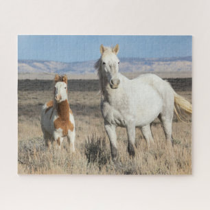 Puzzle Caballos Salvajes en Casa en la Cuenca de Sandwash