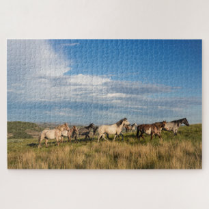 Puzzle Caballos salvajes en el Parque Nacional Theodore R