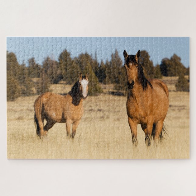 Puzzle Caballos Salvajes, Montañas Steens (Horizontal)