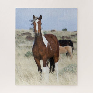 Puzzle Caballos Salvajes, Montañas Steens