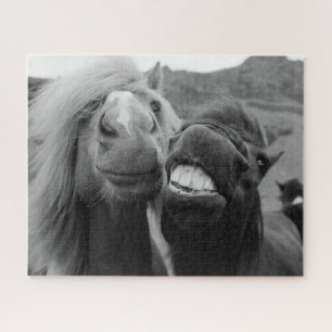 Puzzle Caballos sonrientes de las imágenes el   de Getty