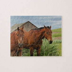 Puzzle Caballos viendo en un campo en el Palouse 3