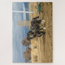 Caballos y arado de camisas - 1014 pieza