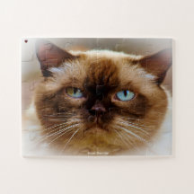 Cabello corto británico