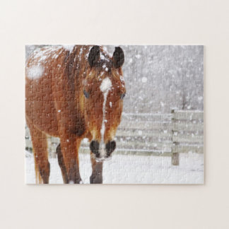 Puzzle Cabeza blanca de caballo