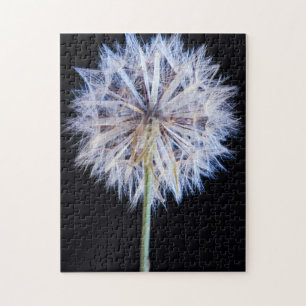 Puzzle Cabeza de semilla de diente de león (Taraxacum Off