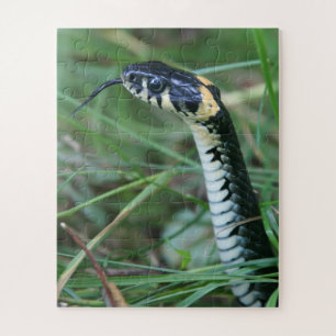 Puzzle Cabeza de serpiente