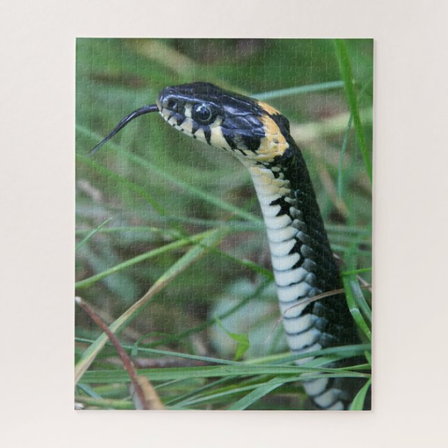 Puzzle Cabeza de serpiente (Vertical)