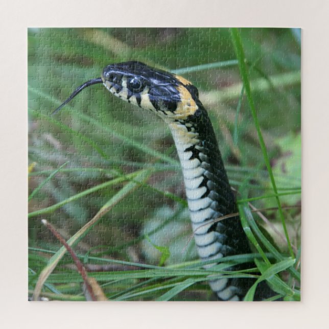Puzzle Cabeza de serpiente (Vertical)