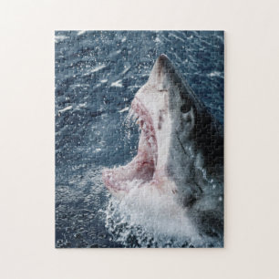 Puzzle Cabeza de tiburón blanco