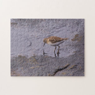 Puzzle Cabo Neddick Menos Sandpiper