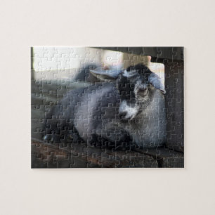 Puzzle Cabra