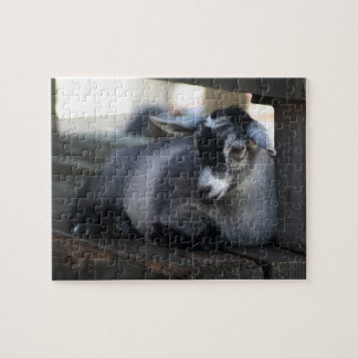 Puzzle Cabra