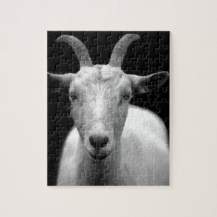 Puzzle Cabra