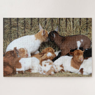 Puzzle Cabra de bebé, niños de cabra