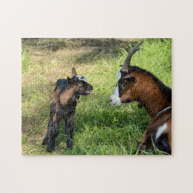 Puzzle Cabra joven cordero (Horizontal)