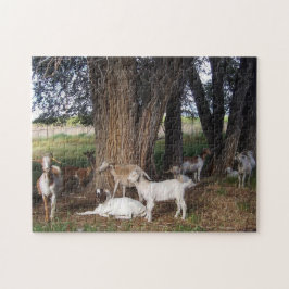 Puzzle Cabras en el Jardín