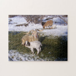 Puzzle Cabras en la nieve de primavera
