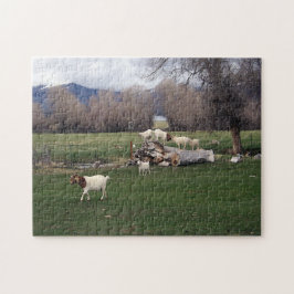 Puzzle Cabras en un registro
