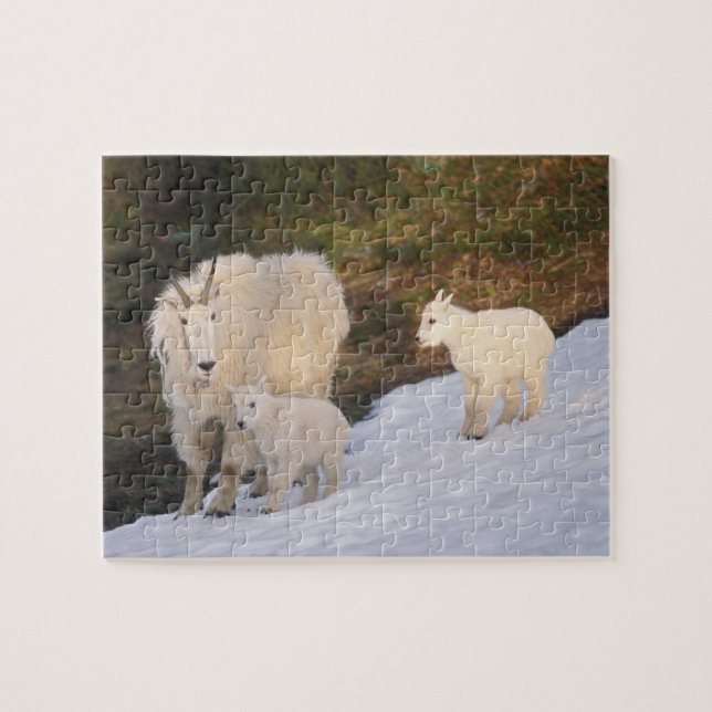Puzzle cabras montesas (Horizontal)