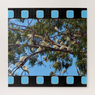 Puzzle Cacatúas australianas salvajes en árboles de goma,