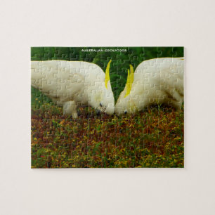 Puzzle Cacatúas australianos