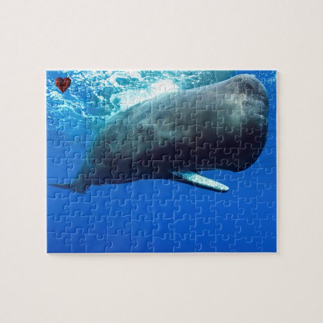 Puzzle Cachalote (Horizontal)