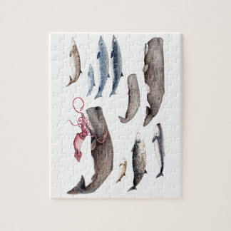 Puzzle Cachalote y zifios: Ballenas de las profundidades