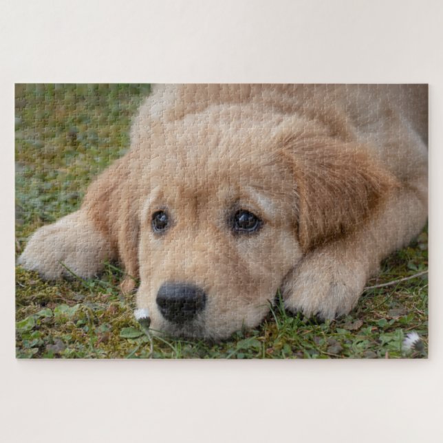 Puzzle Cachorro Adorable (Horizontal)