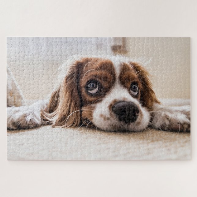 Puzzle Cachorro Adorable (Horizontal)