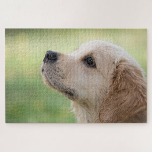 Puzzle Cachorro Adorable