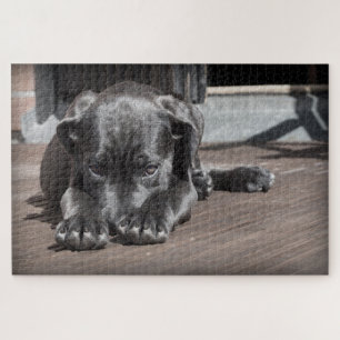 Puzzle Cachorro Adorable