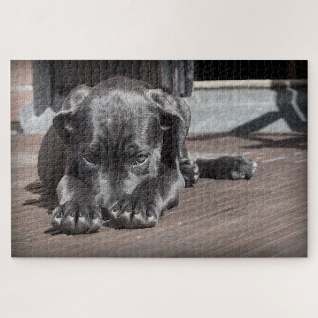 Puzzle Cachorro Adorable (Horizontal)