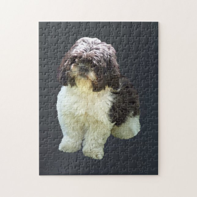 Puzzle Cachorro adorable de Shih Tzu (Vertical)