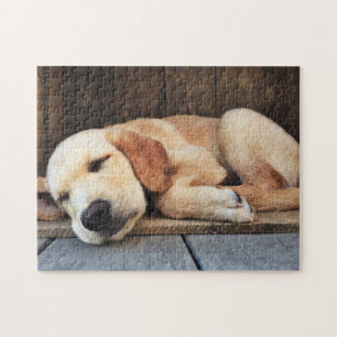 Puzzle Cachorro amarillo labrador